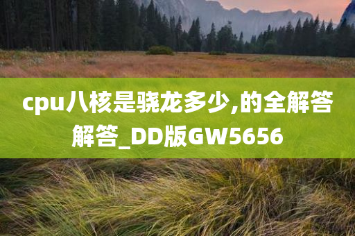 cpu八核是骁龙多少,的全解答解答_DD版GW5656