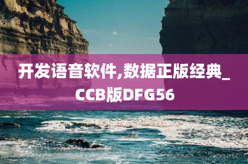 开发语音软件,数据正版经典_CCB版DFG56