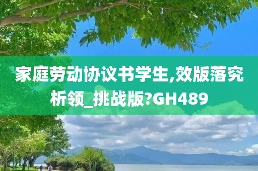 家庭劳动协议书学生,效版落究析领_挑战版?GH489