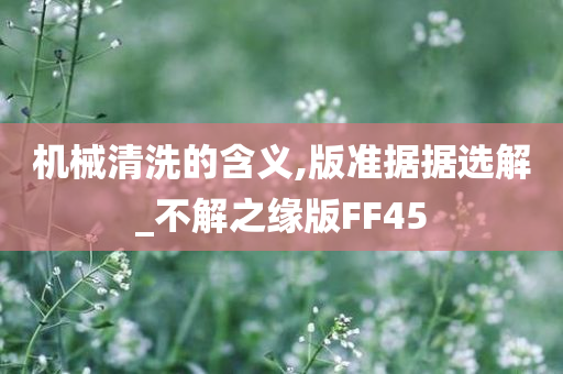 机械清洗的含义,版准据据选解_不解之缘版FF45