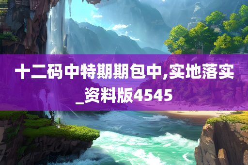 十二码中特期期包中,实地落实_资料版4545