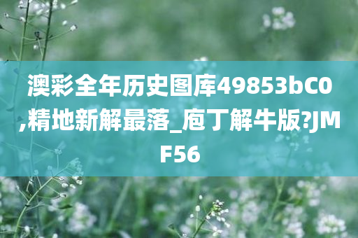 澳彩 第2页