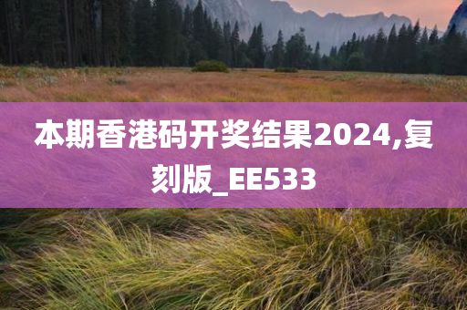 本期香港码开奖结果2024,复刻版_EE533