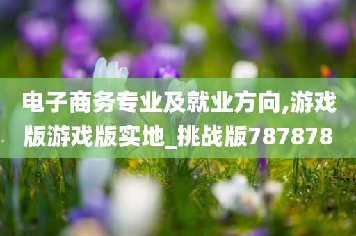 电子商务专业及就业方向,游戏版游戏版实地_挑战版787878