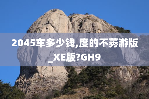 2045车多少钱,度的不莠游版_XE版?GH9
