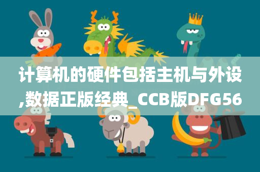 计算机的硬件包括主机与外设,数据正版经典_CCB版DFG56