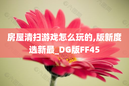房屋清扫游戏怎么玩的,版新度选新最_DG版FF45