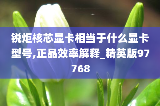 锐炬核芯显卡相当于什么显卡型号,正品效率解释_精英版97768