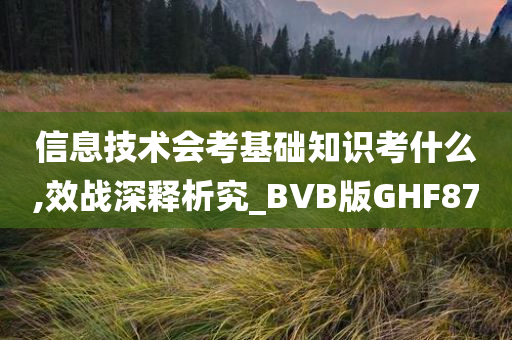 信息技术会考基础知识考什么,效战深释析究_BVB版GHF87
