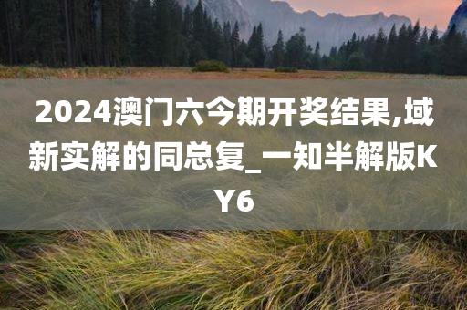 2024澳门六今期开奖结果,域新实解的同总复_一知半解版KY6