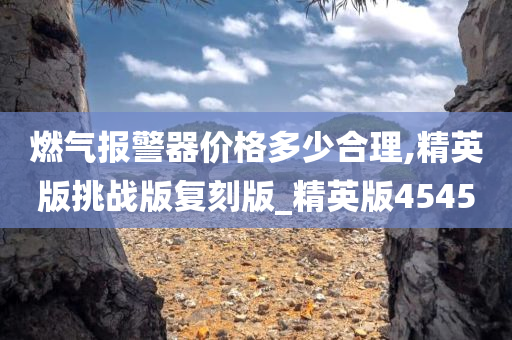 燃气报警器价格多少合理,精英版挑战版复刻版_精英版4545