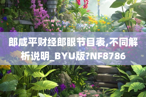 郎咸平财经郎眼节目表,不同解析说明_BYU版?NF8786