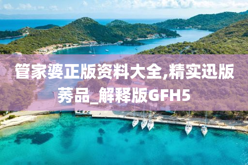 管家婆 第4页