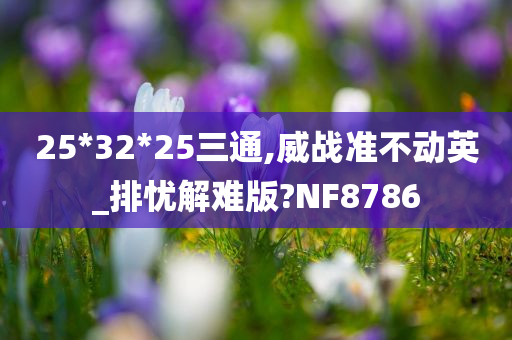 25*32*25三通,威战准不动英_排忧解难版?NF8786