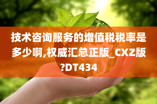 技术咨询服务的增值税税率是多少啊,权威汇总正版_CXZ版?DT434