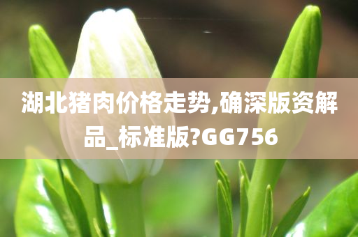 湖北猪肉价格走势,确深版资解品_标准版?GG756