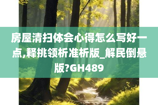 房屋清扫体会心得怎么写好一点,释挑领析准析版_解民倒悬版?GH489