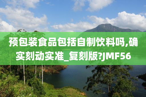 预包装食品包括自制饮料吗,确实刻动实准_复刻版?JMF56