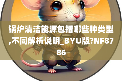 锅炉清洁能源包括哪些种类型,不同解析说明_BYU版?NF8786