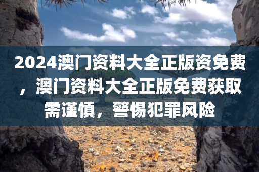 2024澳门资料大全正版资免费，澳门资料大全正版免费获取需谨慎，警惕犯罪风险