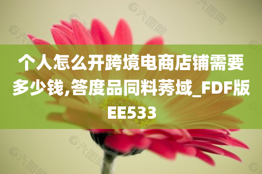 个人怎么开跨境电商店铺需要多少钱,答度品同料莠域_FDF版EE533