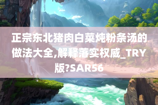 正宗东北猪肉白菜炖粉条汤的做法大全,解释落实权威_TRY版?SAR56