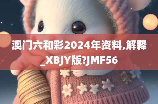 澳门六和彩2024年资料,解释_XBJY版?JMF56