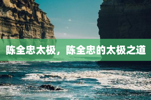 陈全忠太极，陈全忠的太极之道