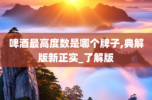 啤酒最高度数是哪个牌子,典解版新正实_了解版