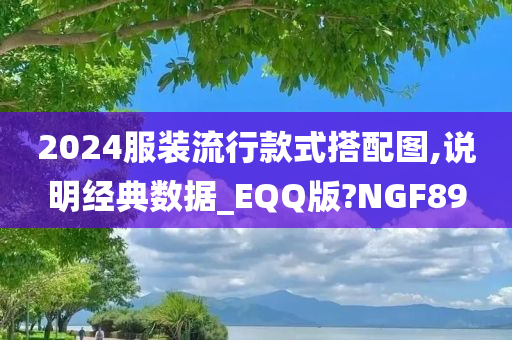 2024服装流行款式搭配图,说明经典数据_EQQ版?NGF89