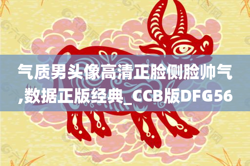 气质男头像高清正脸侧脸帅气,数据正版经典_CCB版DFG56