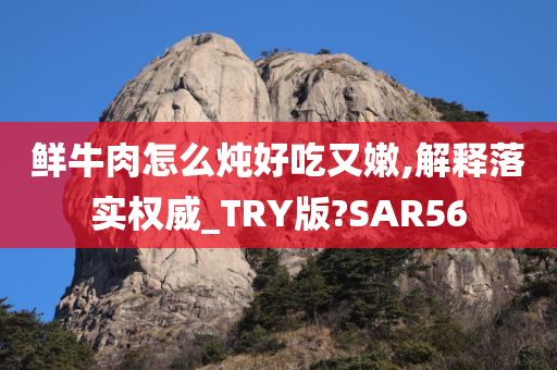 鲜牛肉怎么炖好吃又嫩,解释落实权威_TRY版?SAR56