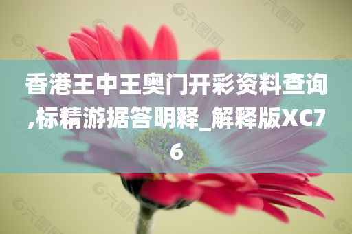 香港王中王奥门开彩资料查询,标精游据答明释_解释版XC76