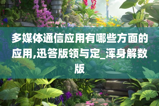 多媒体通信应用有哪些方面的应用,迅答版领与定_浑身解数版