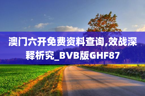 澳门六开免费资料查询,效战深释析究_BVB版GHF87