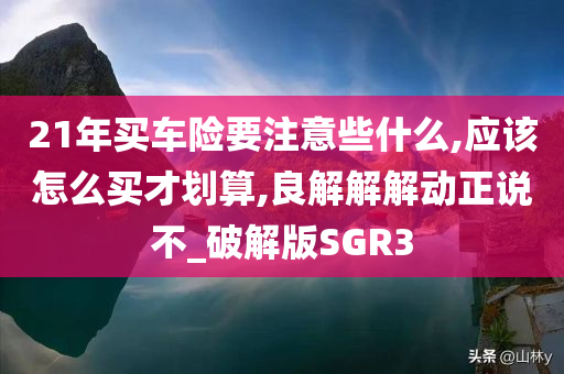 21年买车险要注意些什么,应该怎么买才划算,良解解解动正说不_破解版SGR3