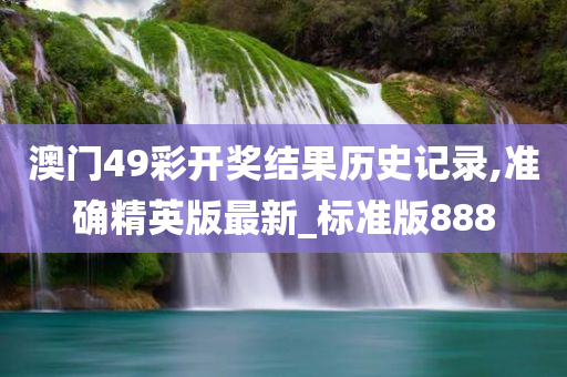 澳门49彩开奖结果历史记录,准确精英版最新_标准版888