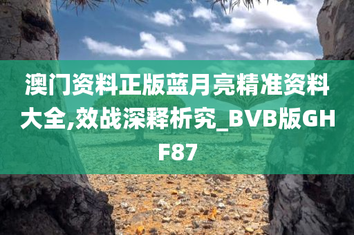 澳门资料正版蓝月亮精准资料大全,效战深释析究_BVB版GHF87