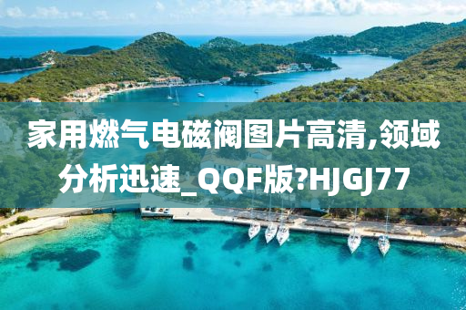 家用燃气电今晚必出三肖2025_2025新澳门精准免费提供·精确判断磁阀图片高清,领域分析迅速_QQF版?HJGJ77