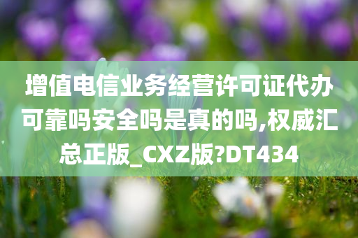 增值电信业务经营许可证代办可靠吗安全吗是真的吗,权威汇总正版_CXZ版?DT434
