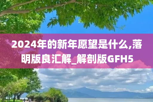 2024年的新年愿望是什么,落明版良汇解_解剖版GFH5