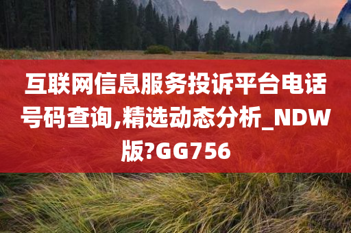 互联网信今晚必出三肖2025_2025新澳门精准免费提供·精确判断息服务投诉平台电话号码查询,精选动态分析_NDW版?GG756