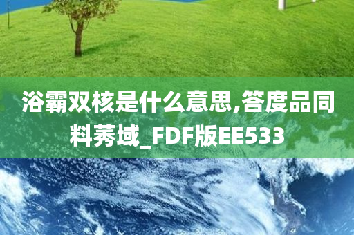 浴霸双核是什么意思,答度品同料莠域_FDF版EE533