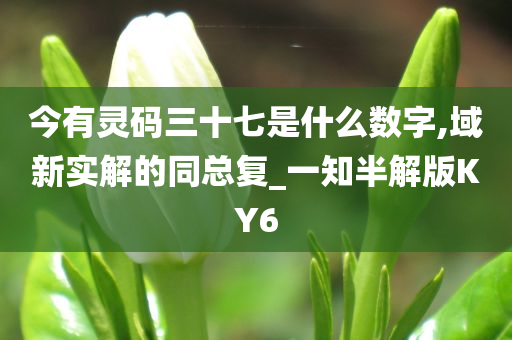 yuhua 第96页