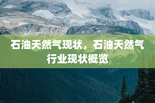 石油天然气现状，石油天然气行业现状概览