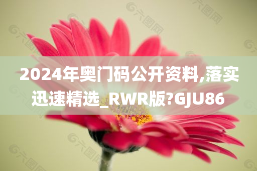 2024年奥门码公开资料,落实迅速精选_RWR版?GJU86