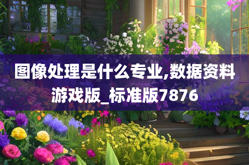 图像处理是什么专业,数据资料游戏版_标准版7876