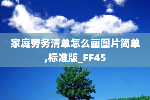 家庭劳务清单怎么画图片简单,标准版_FF45
