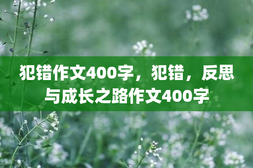 犯错作文400字