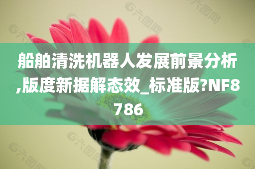 船舶清洗机器人发展前景分析,版度新据解态效_标准版?NF8786